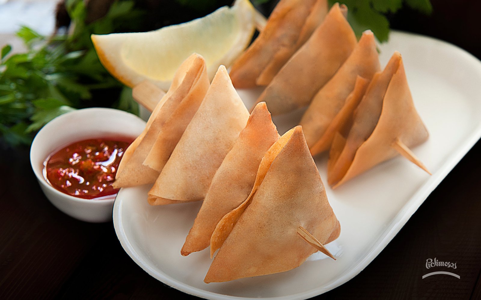 Samosas y mini samosas